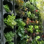 urban gardening